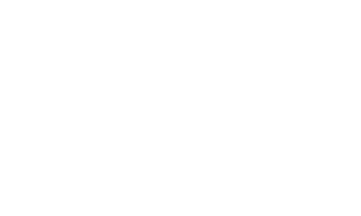 Kornelia Blum: Psychotherapie nach dem Heilpraktikergesetz